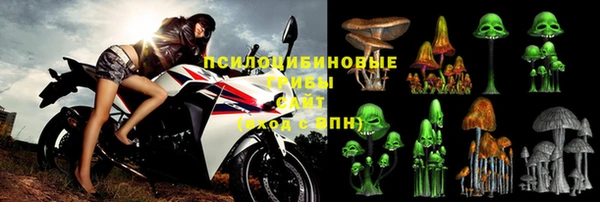 МДПВ Белокуриха