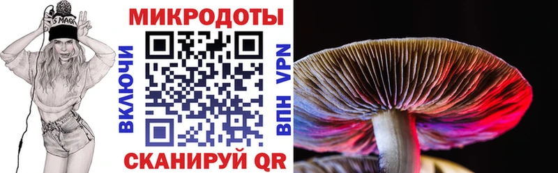 Купить где  Данилов  Галлюциногенные грибы Psilocybe 